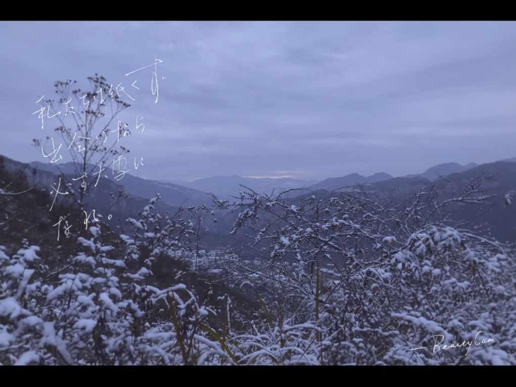 沪江开心词场